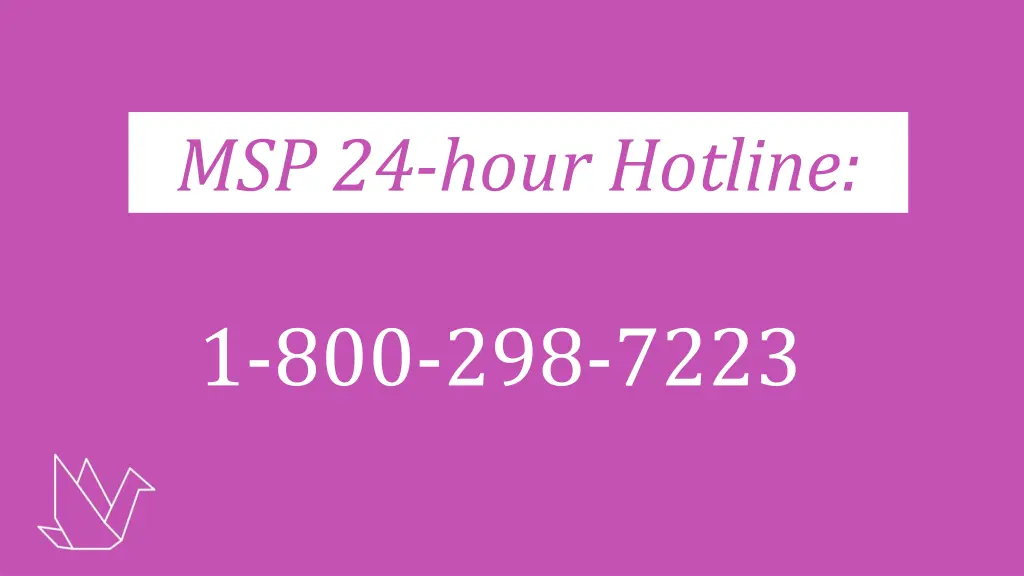 msp 24 hour hotline