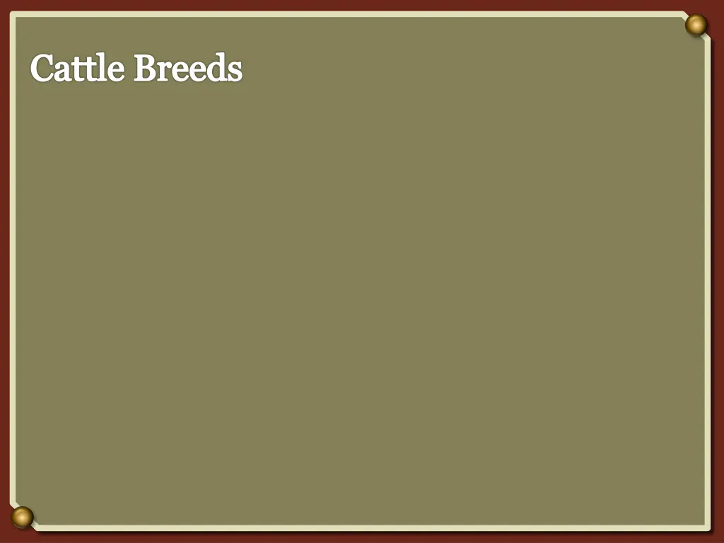 cattle breeds