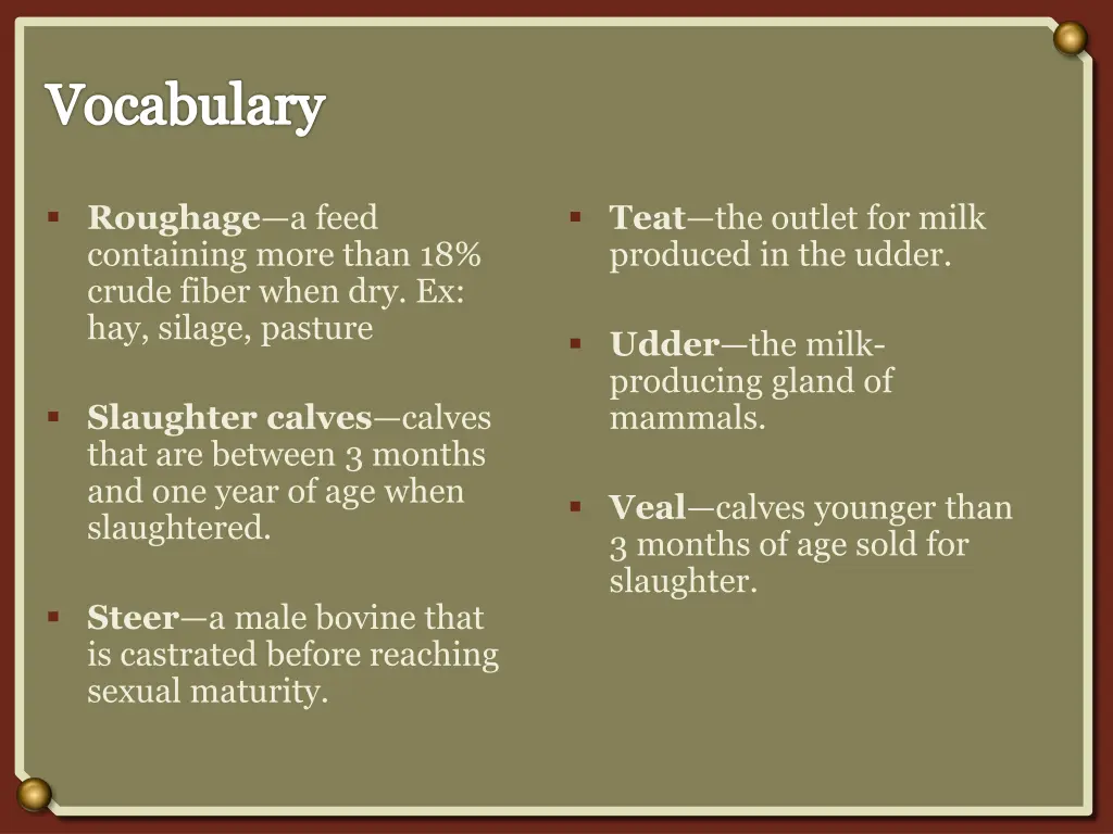 vocabulary 3