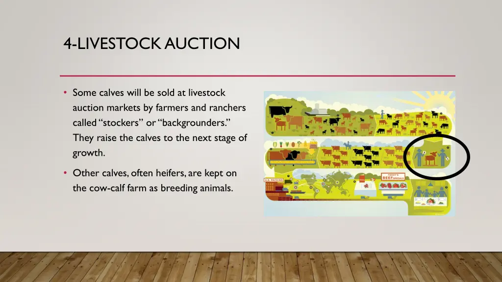 4 livestock auction