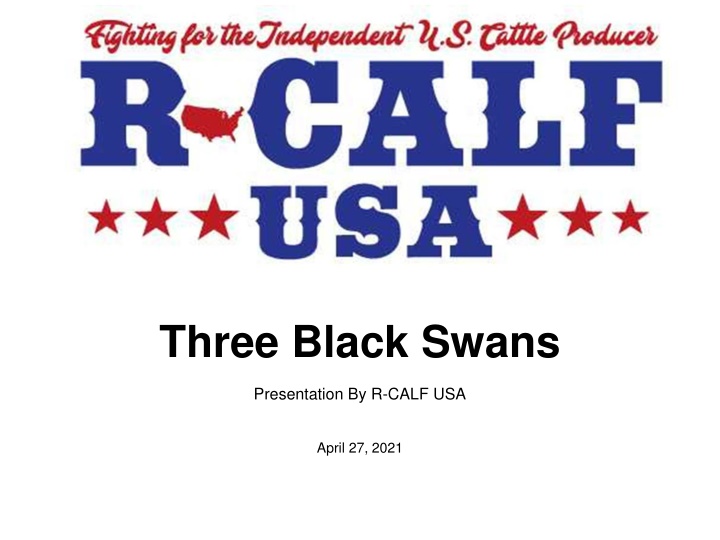 three black swans