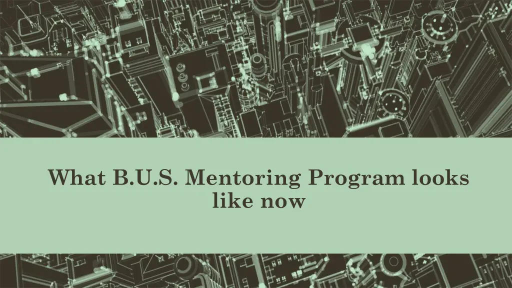 what b u s mentoring program looks like now