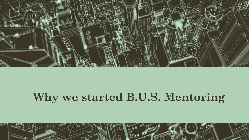 why we started b u s mentoring