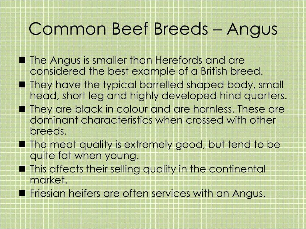 common beef breeds angus