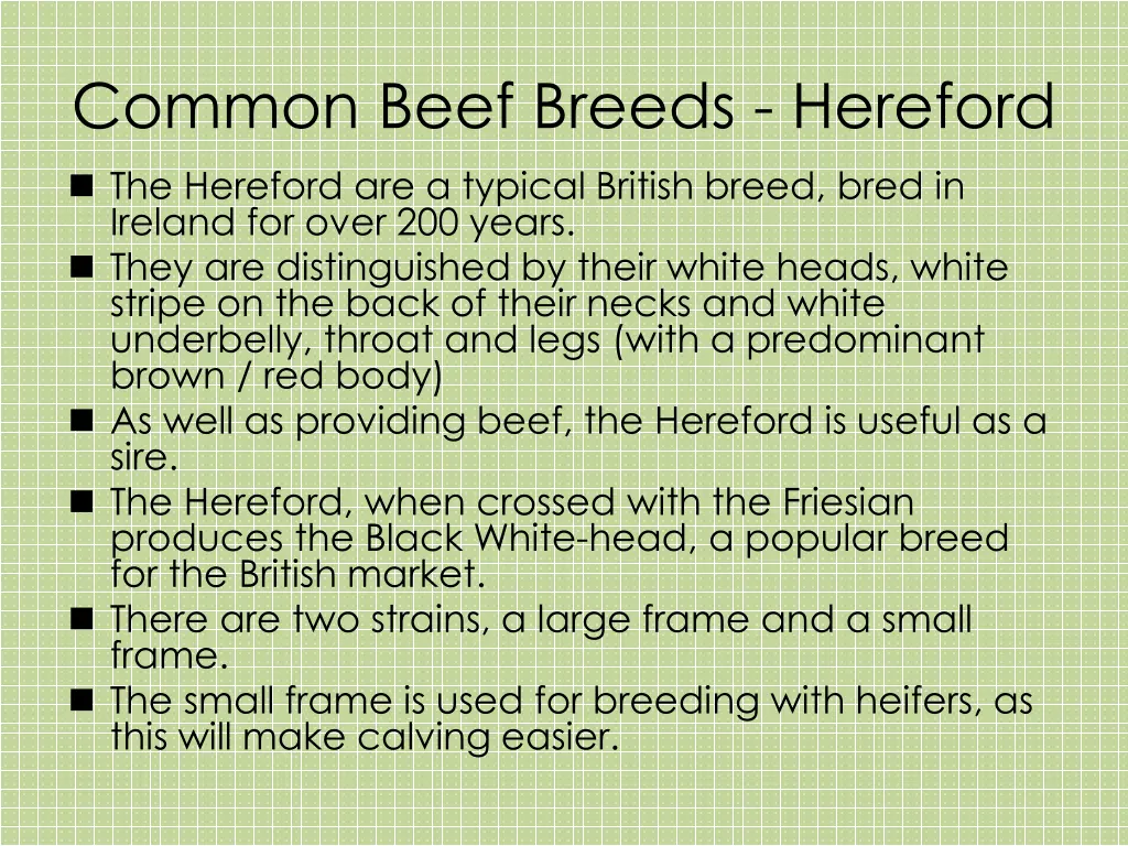 common beef breeds hereford