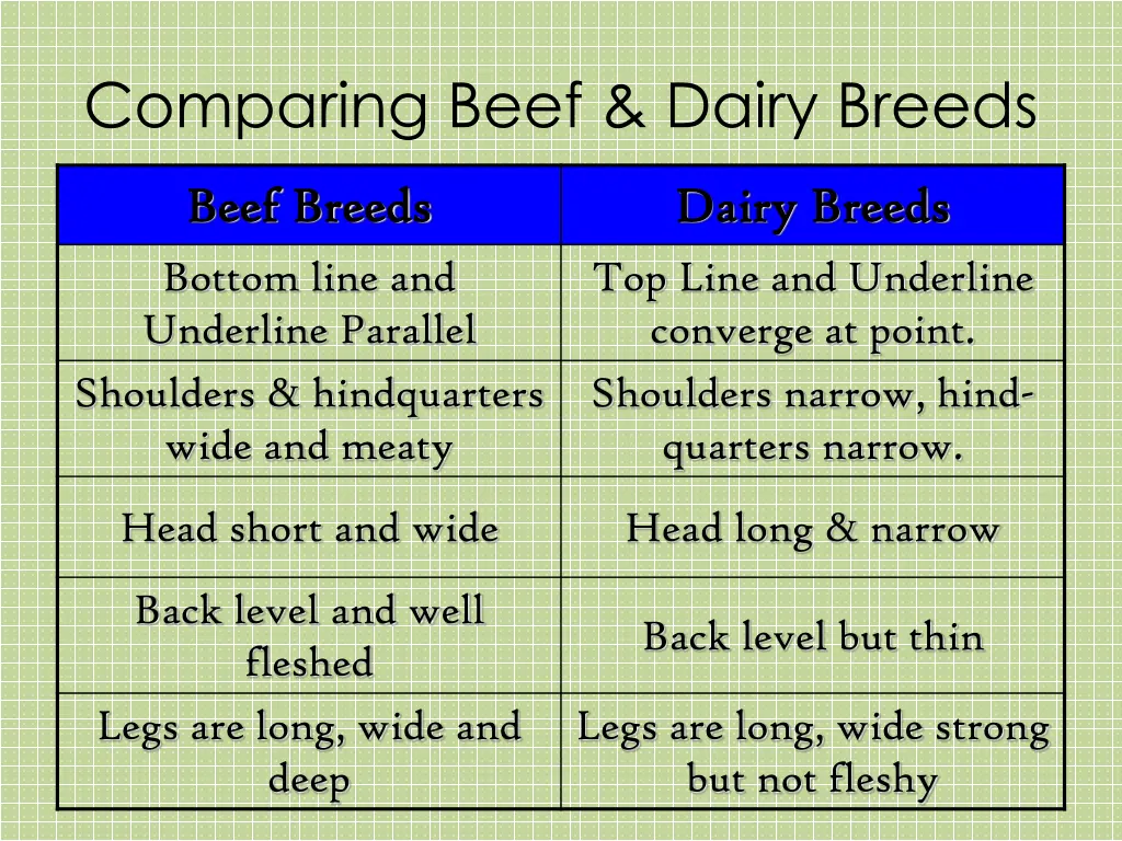 comparing beef dairy breeds