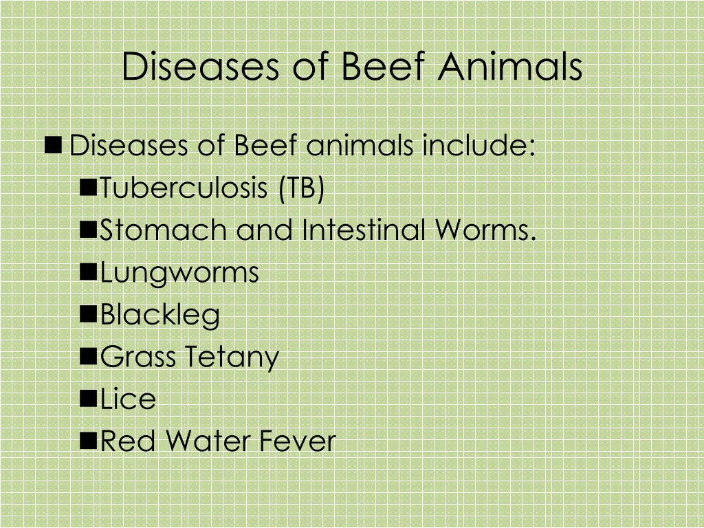 diseases of beef animals