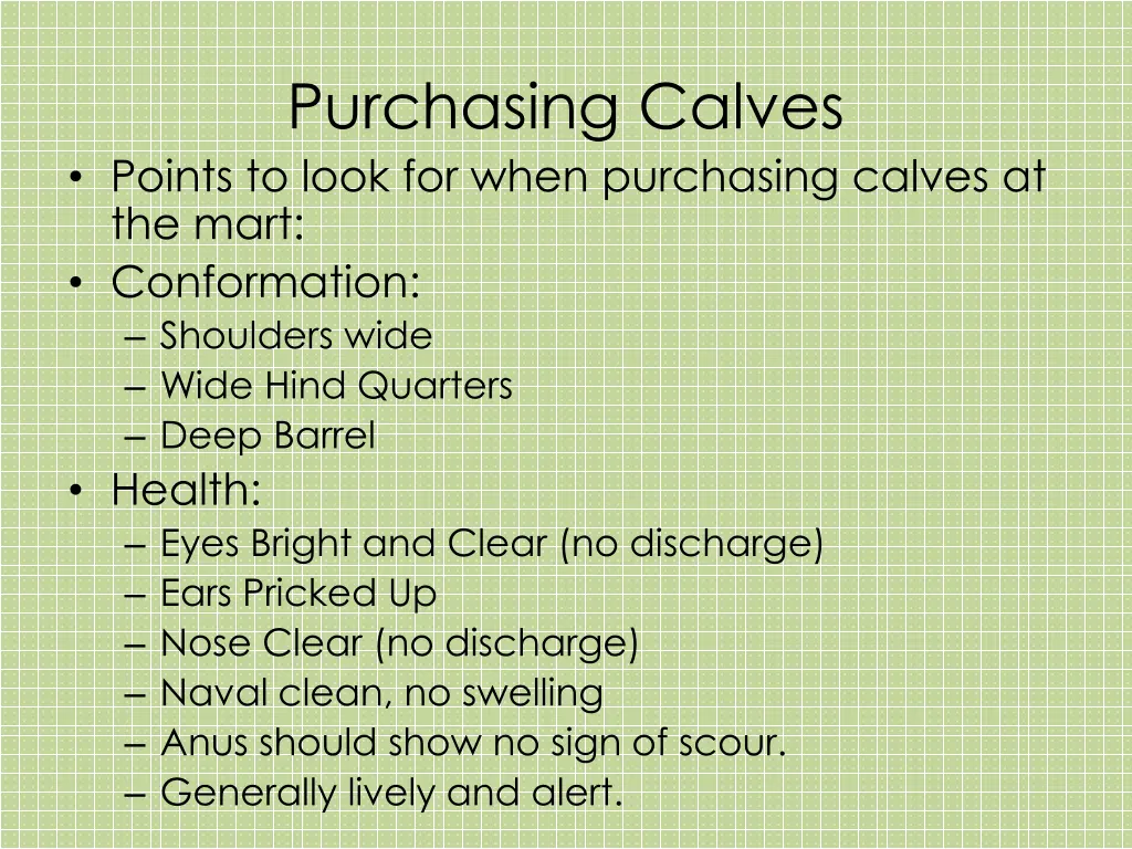 purchasing calves points to look for when