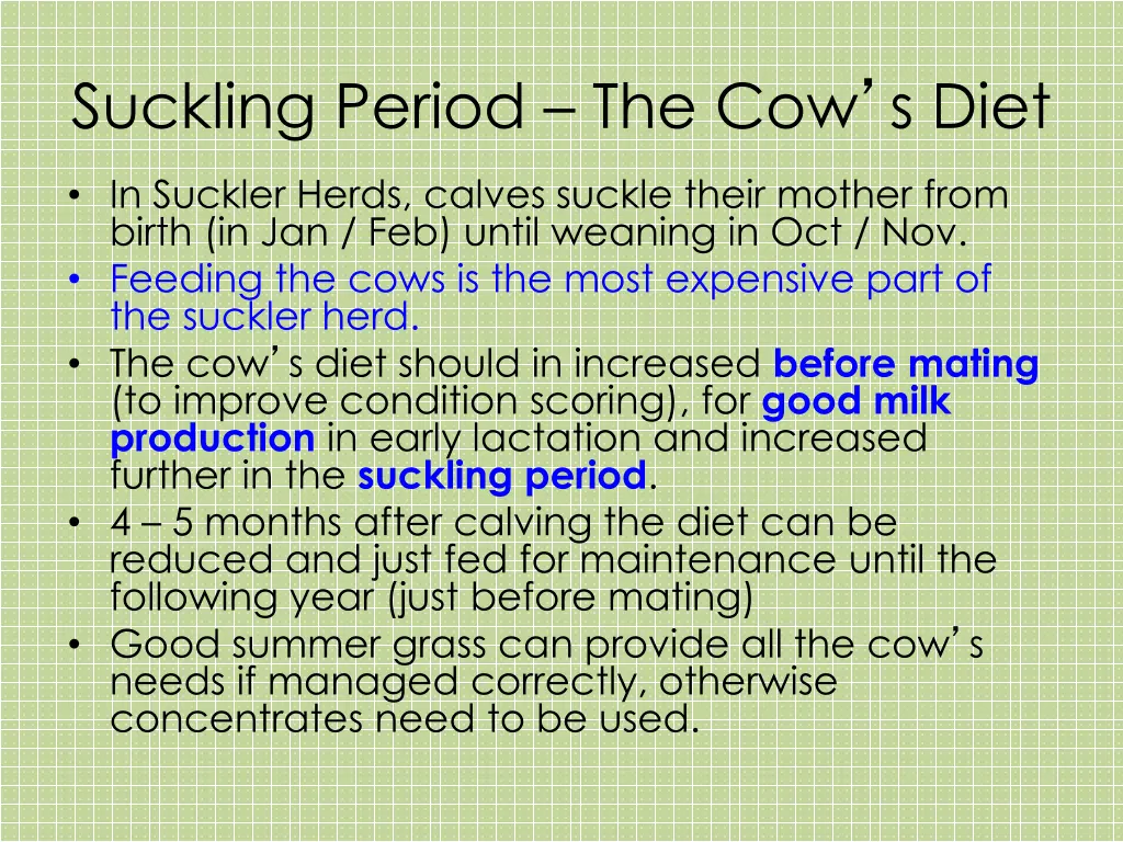 suckling period the cow s diet