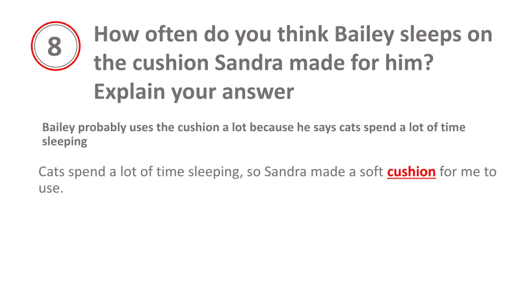 how often do you think bailey sleeps