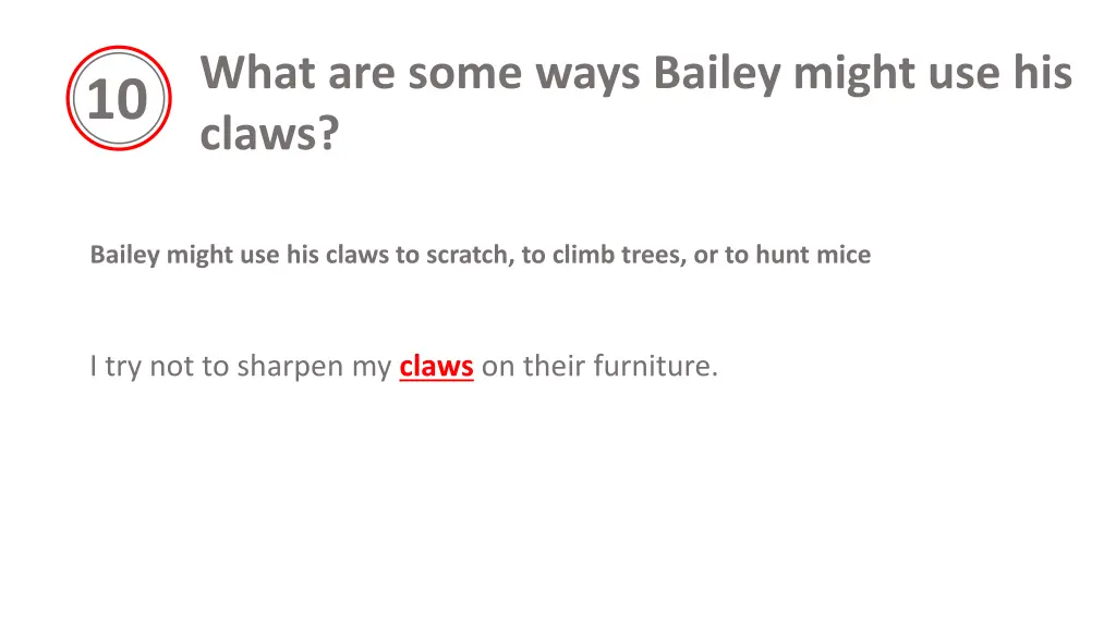 what are some ways bailey might use his claws