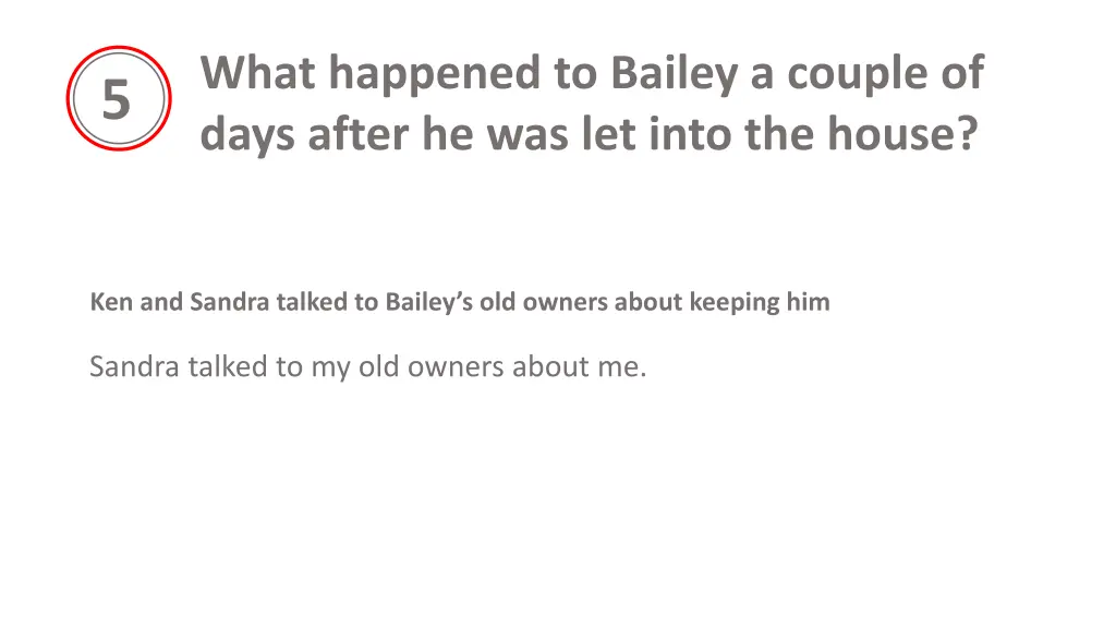 what happened to bailey a couple of days after