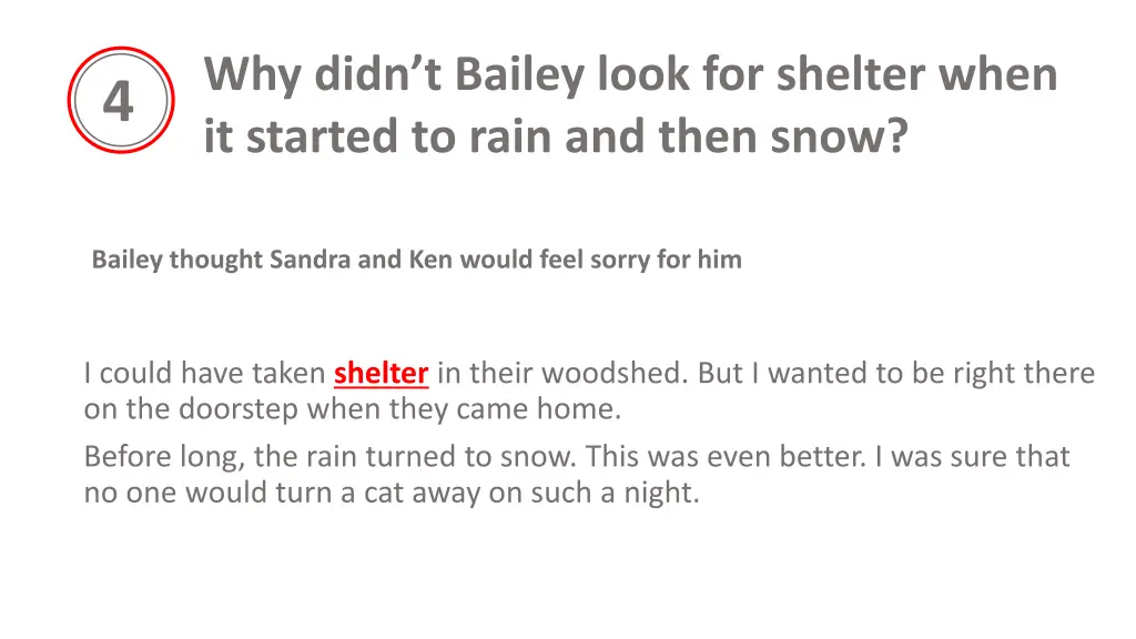 why didn t bailey look for shelter when