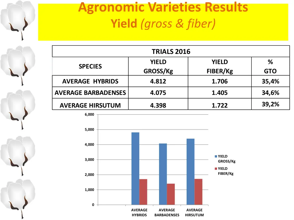 agronomic varieties results yield gross fiber