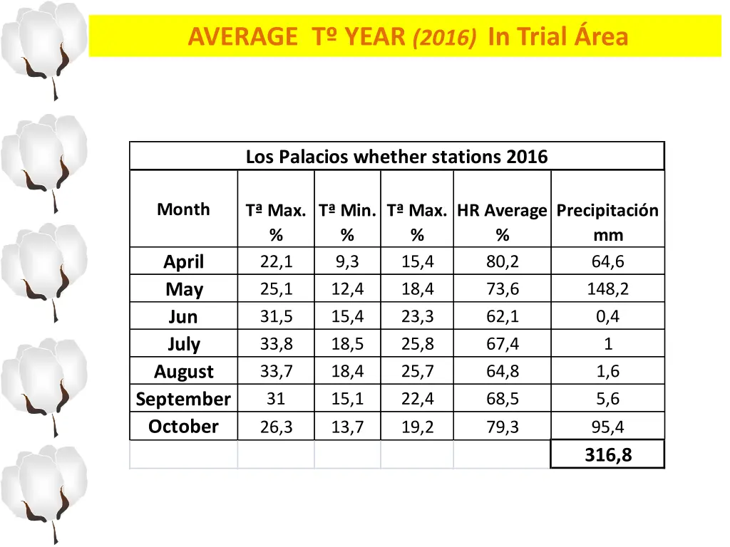 average t year 2016 in trial rea