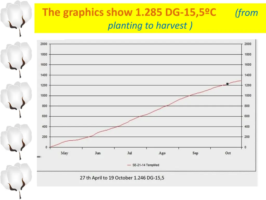 the graphics show 1 285 dg 15 5 c from planting