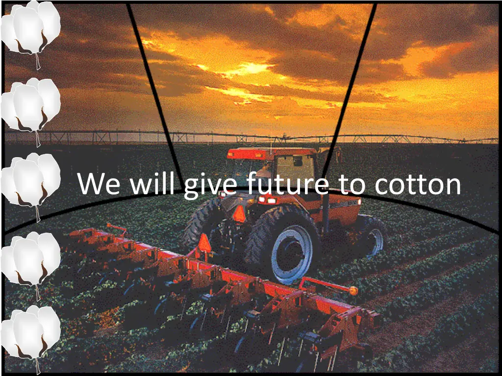 we will give future to cotton