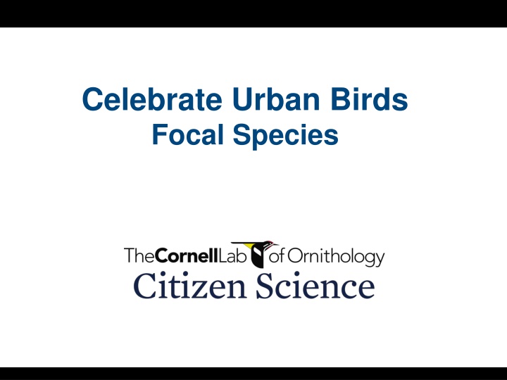 celebrate urban birds focal species