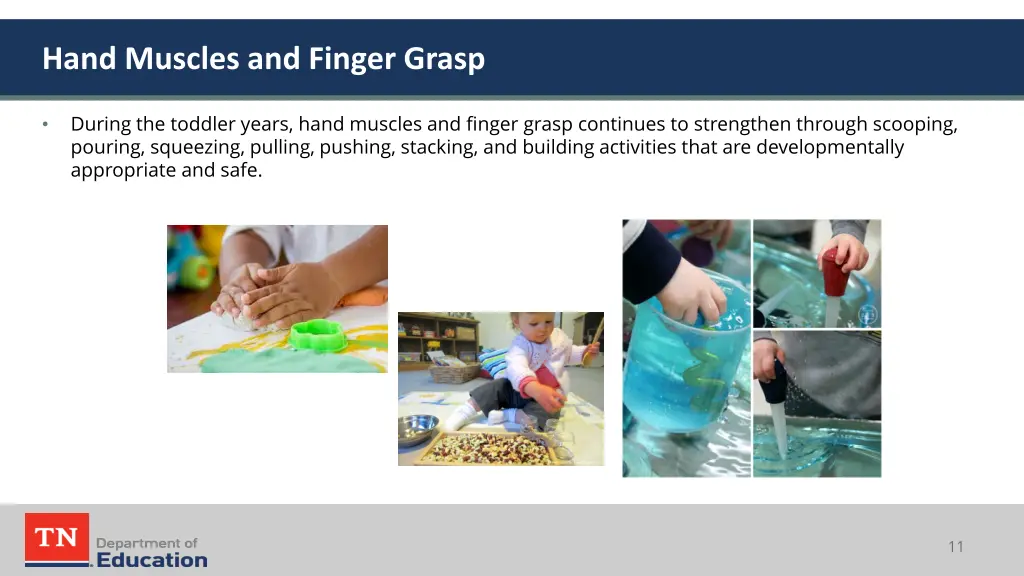 hand muscles and finger grasp 1