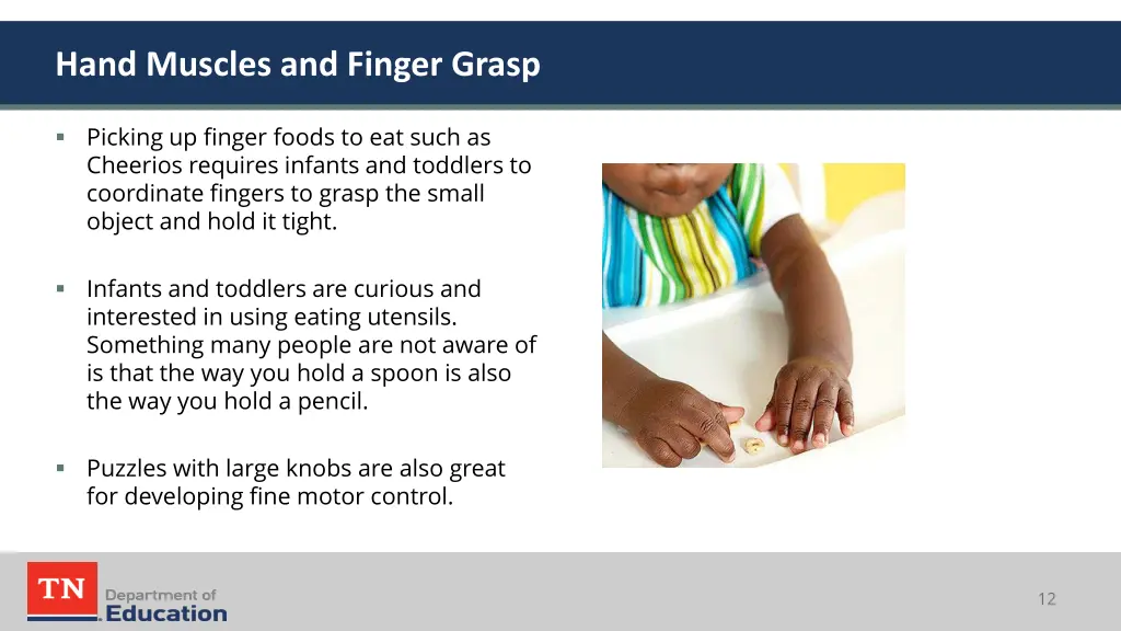 hand muscles and finger grasp 2