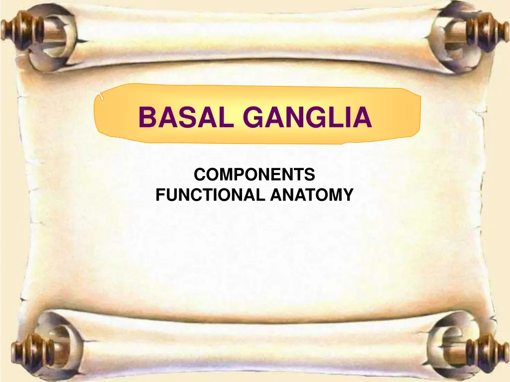 basal ganglia 2