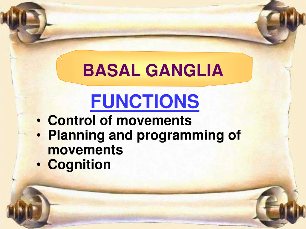 basal ganglia 4