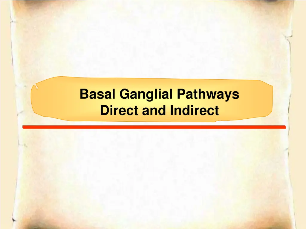 basal ganglial pathways direct and indirect