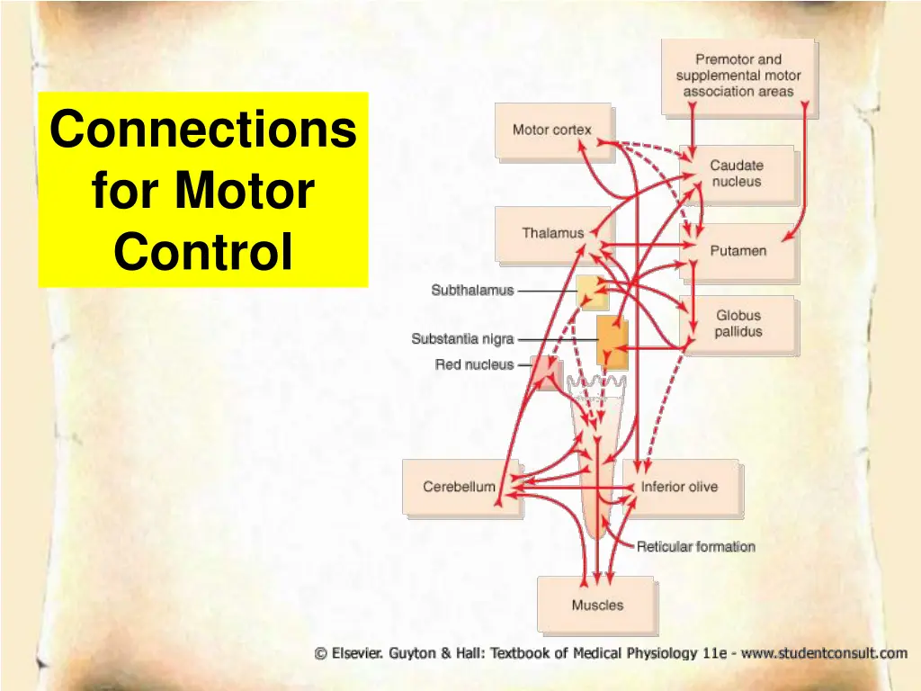 connections for motor control