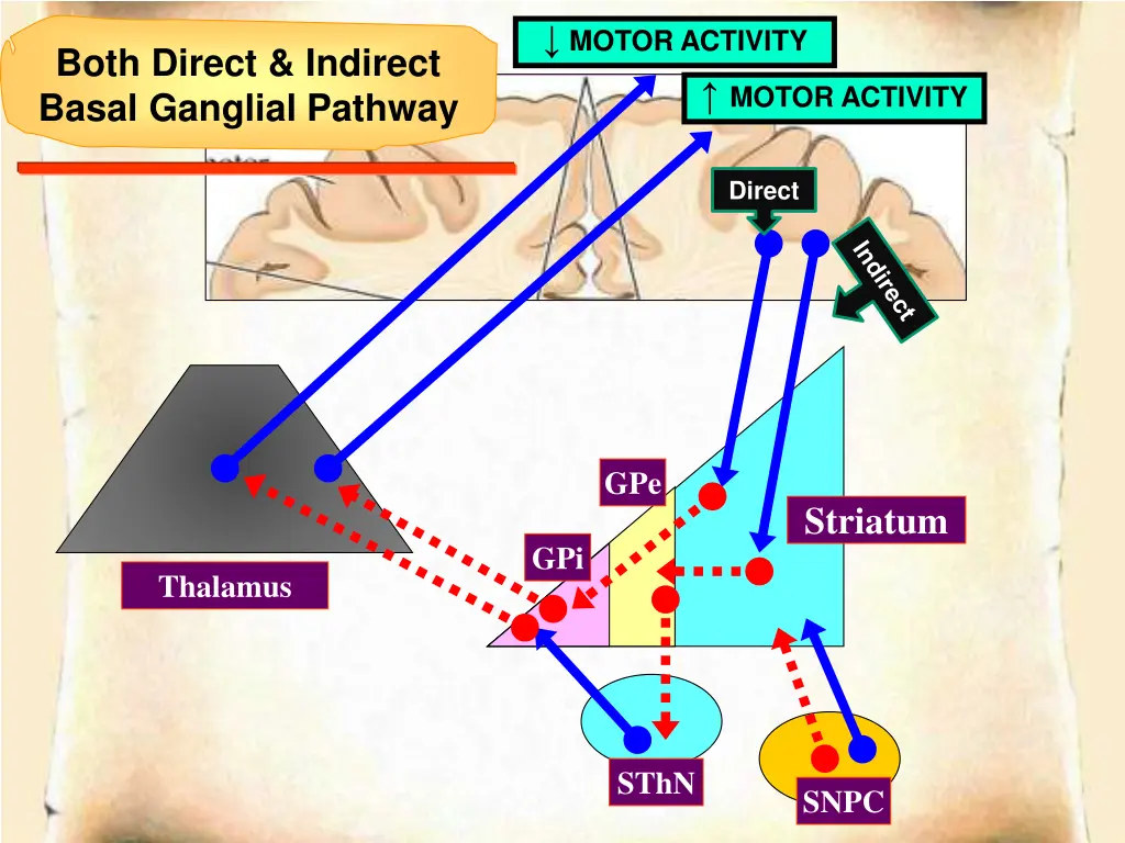 motor activity 2