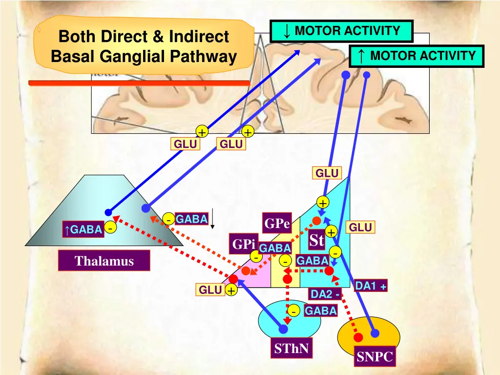 motor activity 3