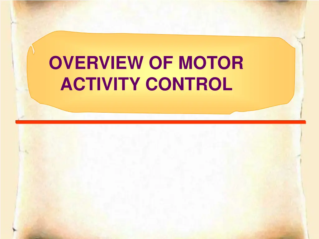 overview of motor activity control