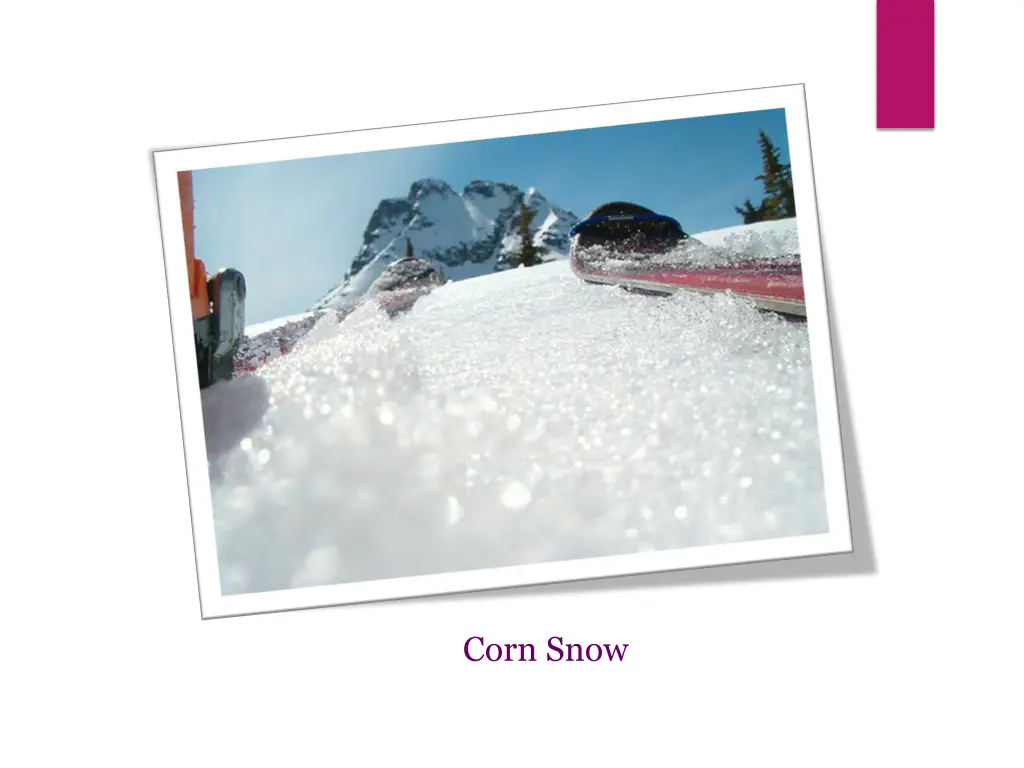 corn snow