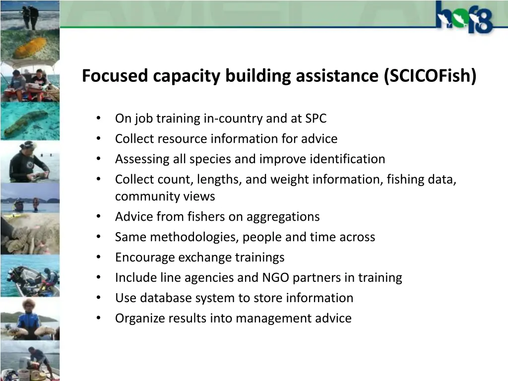 focused capacity building assistance scicofish