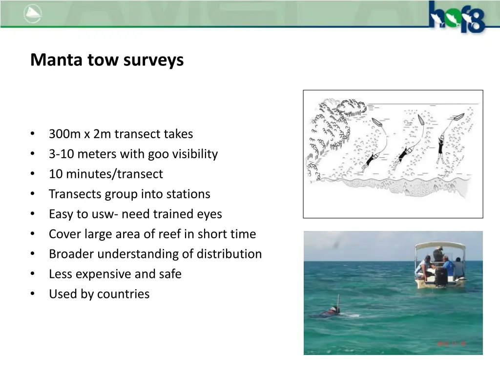 manta tow surveys