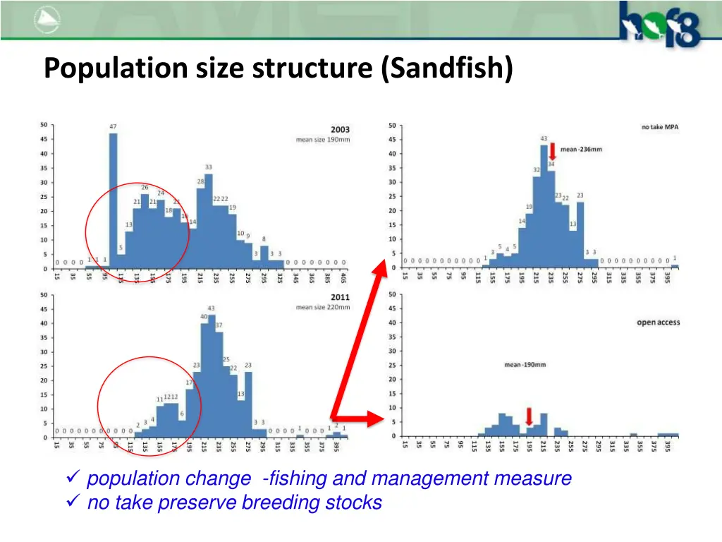 population size structure sandfish