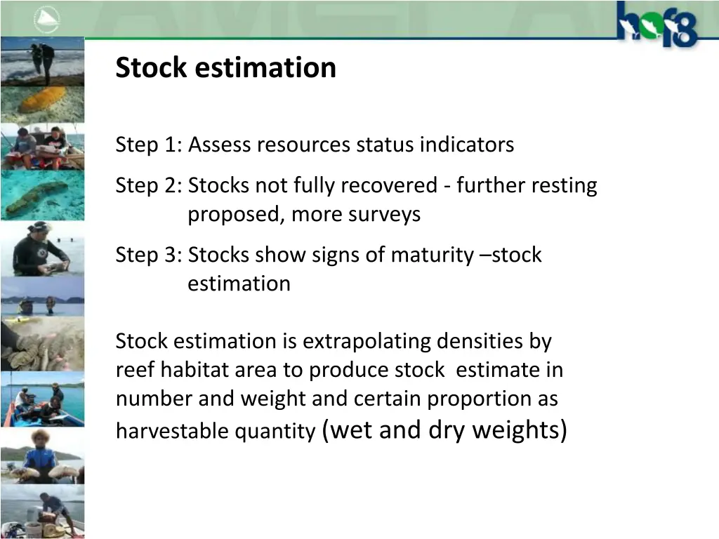 stock estimation