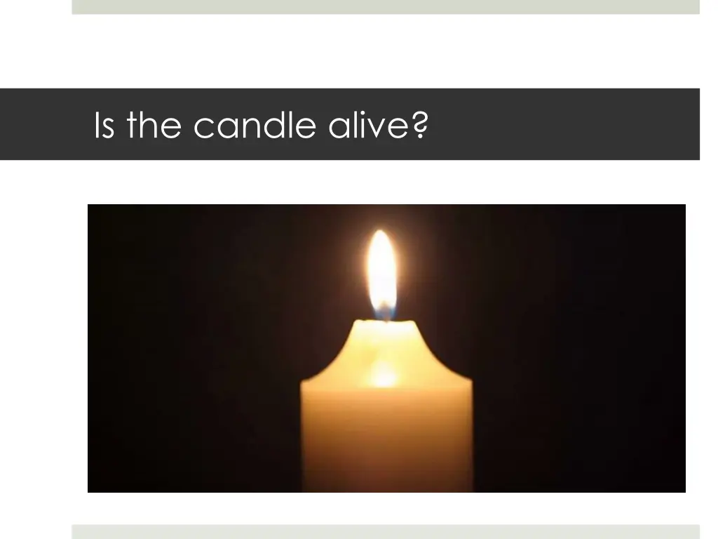 is the candle alive