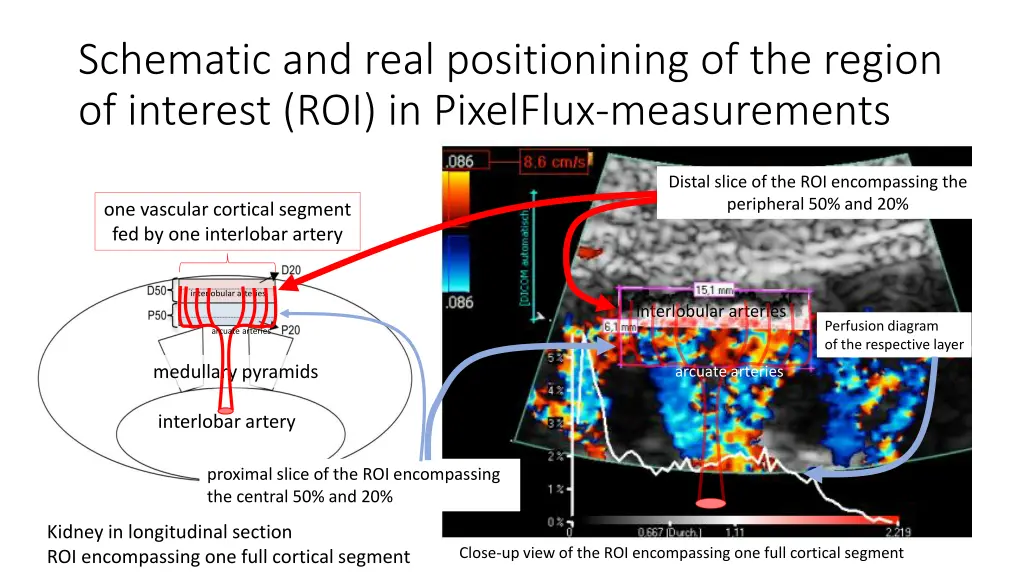 schematic and real positionining of the region