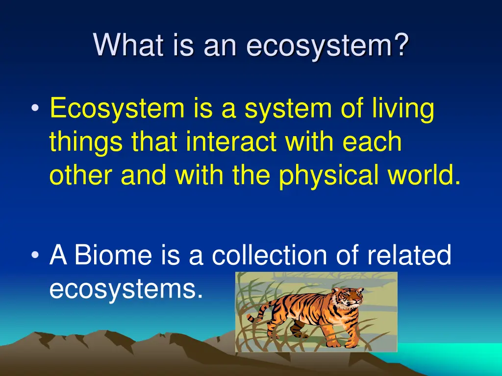 what is an ecosystem