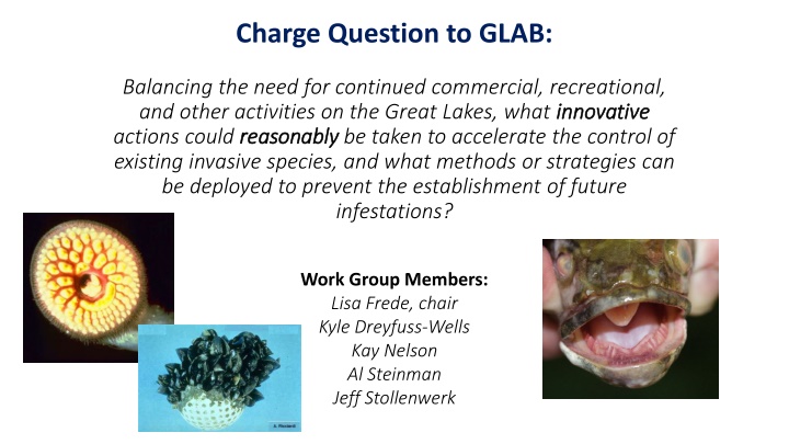 charge question to glab