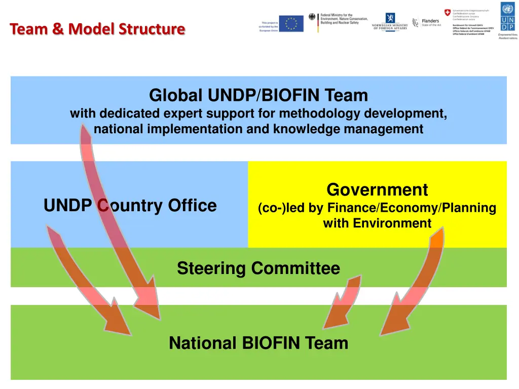 team model structure