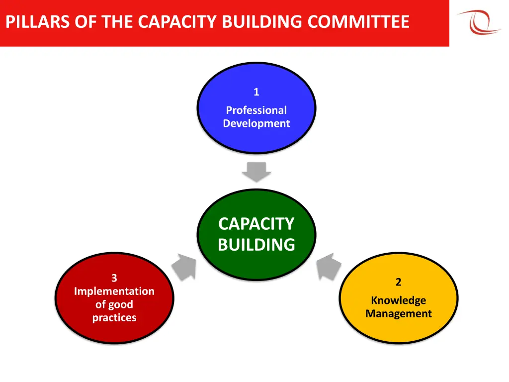 pillars of the capacity building committee