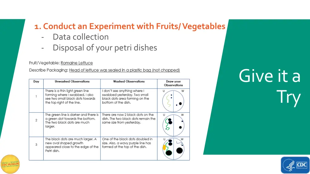 1 conduct an experiment with fruits vegetables 1