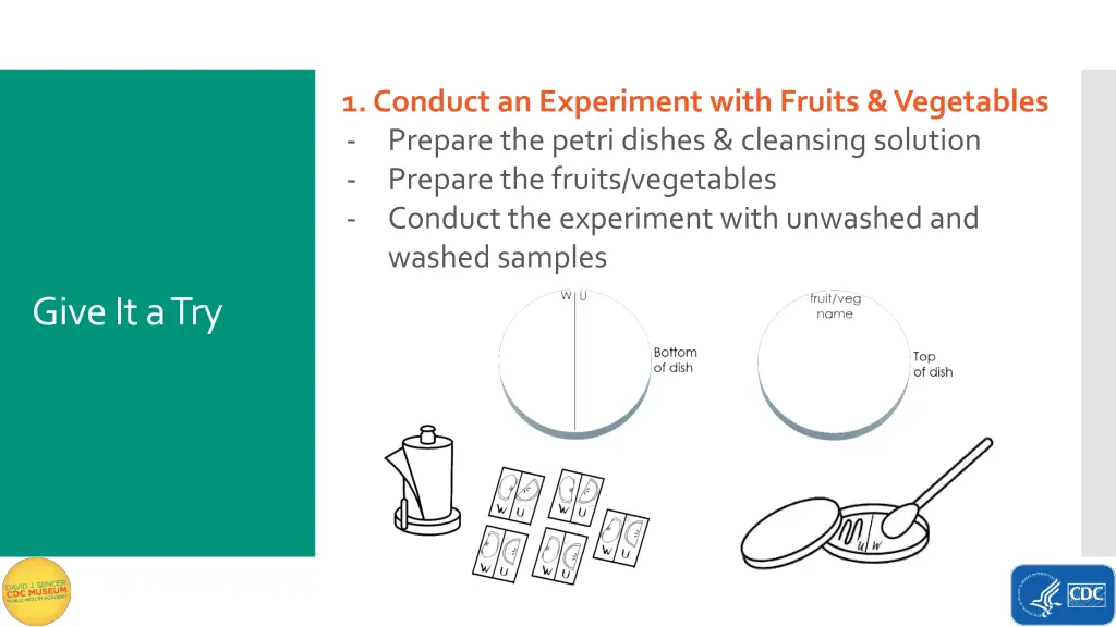 1 conduct an experiment with fruits vegetables