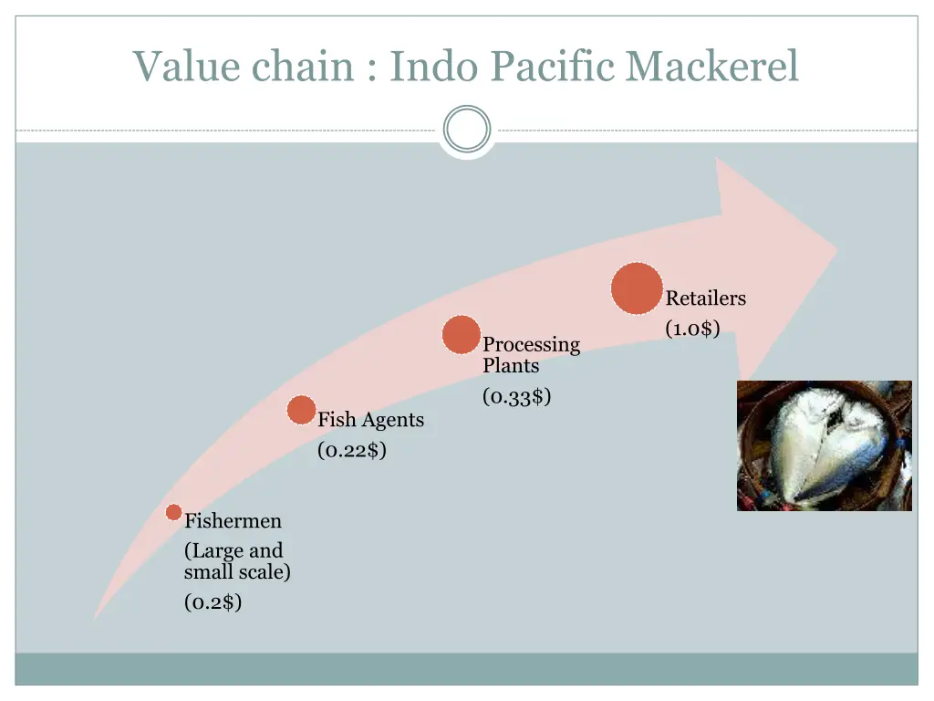 value chain indo pacific mackerel