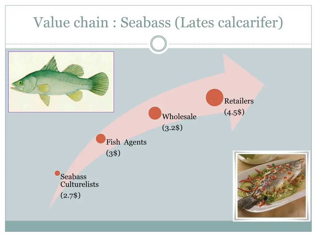 value chain seabass lates calcarifer