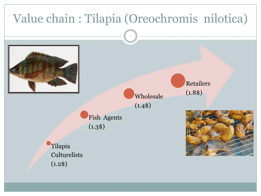 value chain tilapia oreochromis nilotica