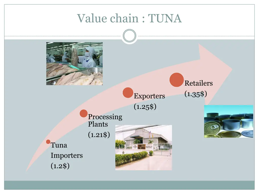 value chain tuna