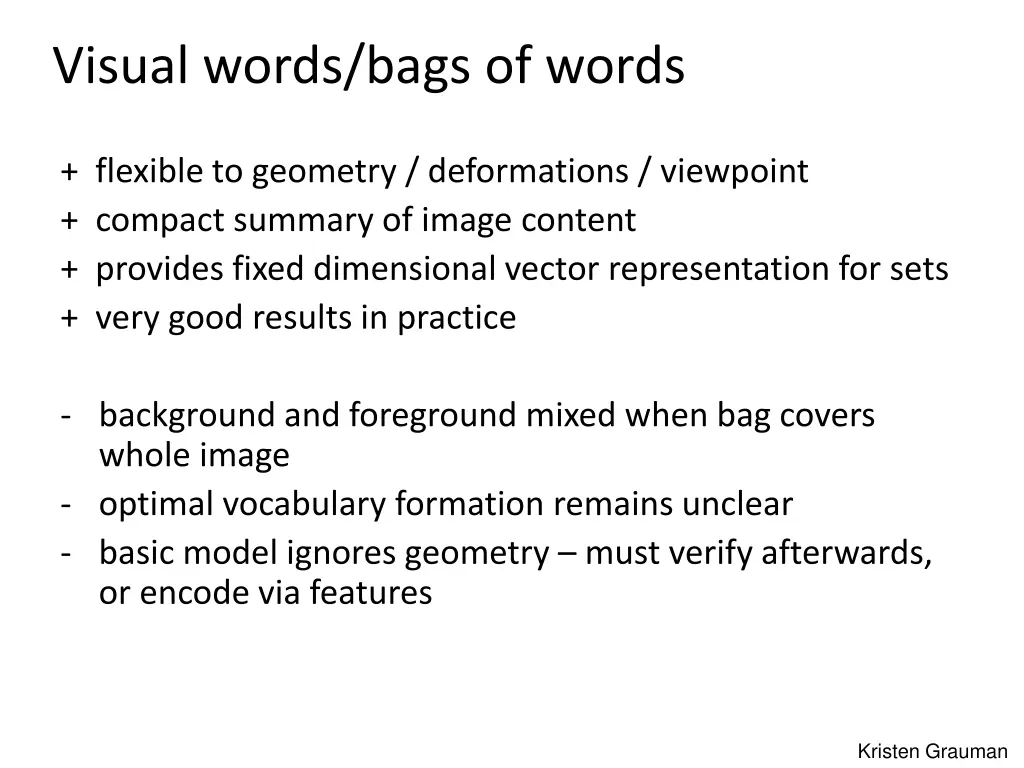 visual words bags of words