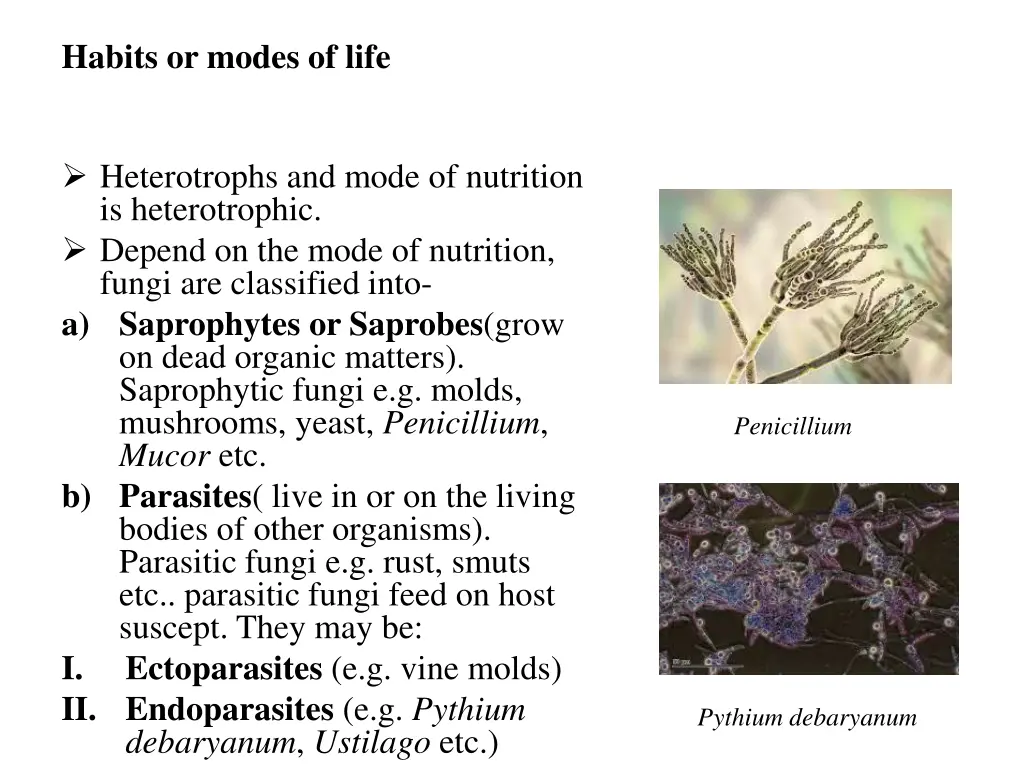 habits or modes of life